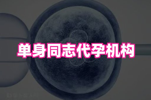 武汉助孕网站 2